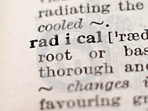 Dictionary definition of word radical