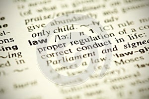 Dictionary definition of the word