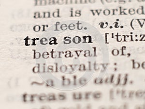 Dictionary definition of word treason