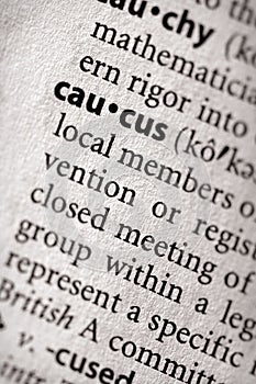 Dictionary Series - Politics: caucus photo