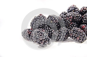 Did you find out what you see here I did they are fresh blackberry `s