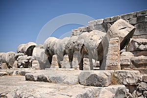 Didim Apollo temple column