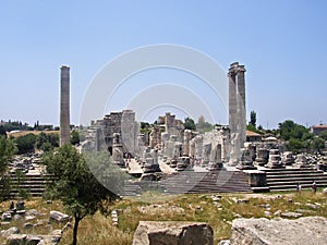 Turkey: Didima, Didyma, Didim, Apollo oracle photo