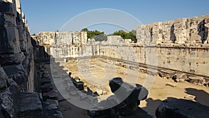 Didymaion, Temple of Apollo