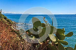 Coastal landscape, coast in Piombino, Tuscany, Italy