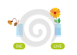 Die and live antonyms word card vector template.