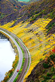 Dieblich, Germany - 10 28 2020: steep yellow vineyards