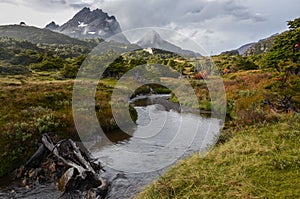 Dientes de Navarino, Chile photo