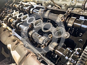 Diesel Engine Camshaft Detail