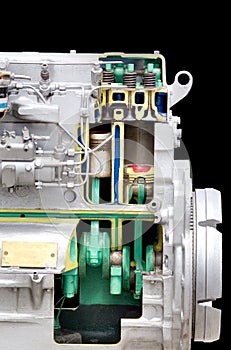 Diesel engine section