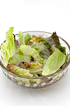 Diet appetizers on white background