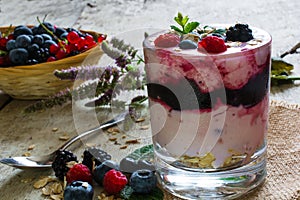 Diet dessert with berry yogurt and oatmeal