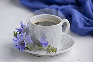 Diet drink chicory in a cup, coffee substitute. Cichorium intybus flower photo