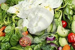 Diet salad with Burrata cheese, lettuce and vegetables