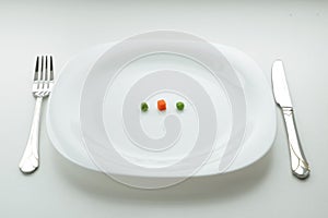 Diet snack on the big plate