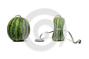 Diet - weight loss concept - fat and slim - shown on a watermelon with