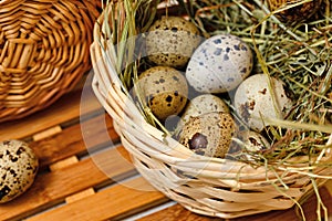 Dietary quail eggs in a basket. Easter.