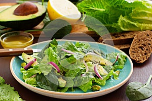 Dietary salad with Romano, onions,