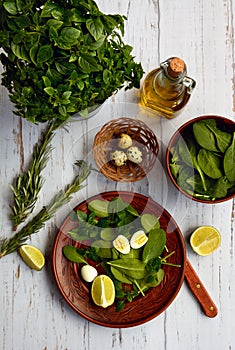 Dietary salad of spinach and quail eggs on a ceramic plate, rosemary, a bottle of olive oil, a bunch of basil and lime on a white
