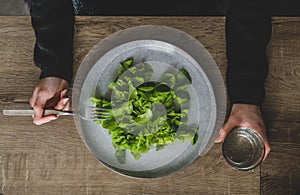 Top view of woman hands and big grey plate with green leaves of salad. photo