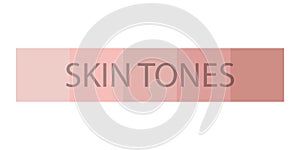 Diferent human skin tone plate set. Skin tone infografic bar. Cartoon infographic on white background. Body colors in trendy fla