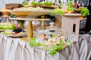 Diferrent cheese, meat and salads on wedding reception.