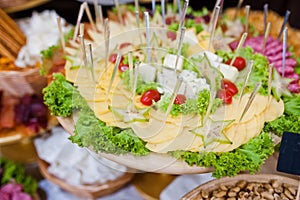 Diferrent cheese, meat and salads on wedding reception.