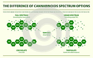 The Difference of Cannabinoids Spectrum Options horizontal infographic photo