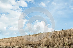 The difference between the dry meadows and the blue sky.