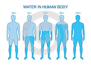 Difference percentage of water in the human body.