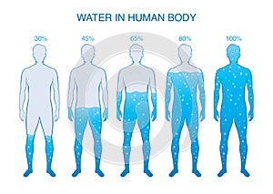 Difference percentage of water in the human body.