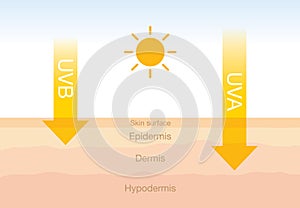 The difference of radiation 2 types in sunlight with skin.