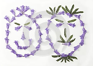 Differences and similarities of male and female faces.