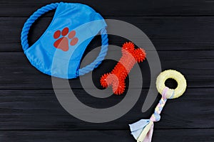 Different accessories for dogs and cats: mouse toy, ball, comb, leash, collar, toys on black wooden background. Pets care