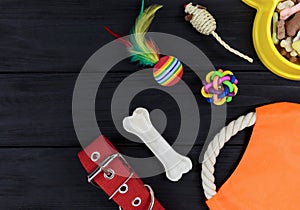 Different accessories for dogs and cats: mouse toy, ball, comb, leash, collar, toys on black wooden background. Pets care