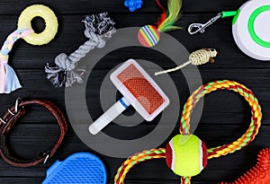 Different accessories for dogs and cats: mouse toy, ball, comb, leash, collar, toys on black wooden background. Pets care