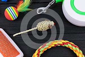 Different accessories for dogs and cats: mouse toy, ball, comb, leash, collar, toys on black wooden background. Pets care