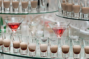 Different alcohol drinks on a glass stand. wine, champagne, cognac, vodka, martini