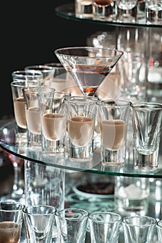 Different alcohol drinks on a glass stand. wine, champagne, cognac, vodka, martini