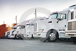 Different american trucks in a row