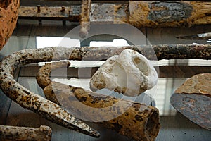 Different ancient archeology tools/objects