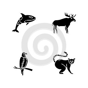 Different animal species black glyph icons set on white space