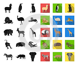 Different animals black,flat icons in set collection for design. Bird, predator and herbivore vector symbol stock web photo