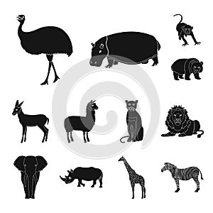 Different animals black icons in set collection for design. Bird, predator and herbivore vector symbol stock web