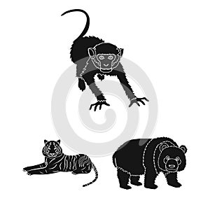 Different animals black icons in set collection for design. Bird, predator and herbivore vector symbol stock web