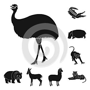 Different animals black icons in set collection for design. Bird, predator and herbivore vector symbol stock web