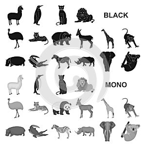 Different animals black icons in set collection for design. Bird, predator and herbivore vector symbol stock web