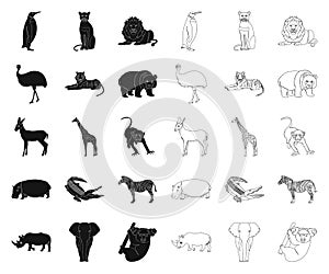 Different animals black,outline icons in set collection for design. Bird, predator and herbivore vector symbol stock web