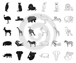 Different animals black,outline icons in set collection for design. Bird, predator and herbivore vector symbol stock web photo