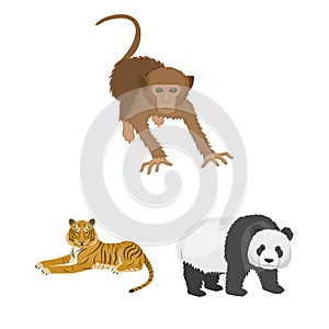 Different animals cartoon icons in set collection for design. Bird, predator and herbivore vector symbol stock web